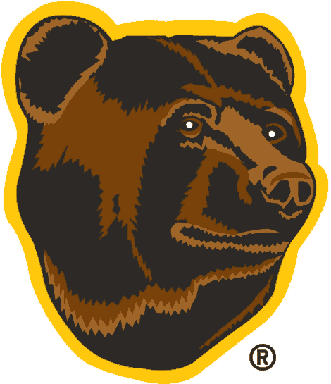 Boston Bruins 1995-2007 Alternate Logo iron on transfers for T-shirts